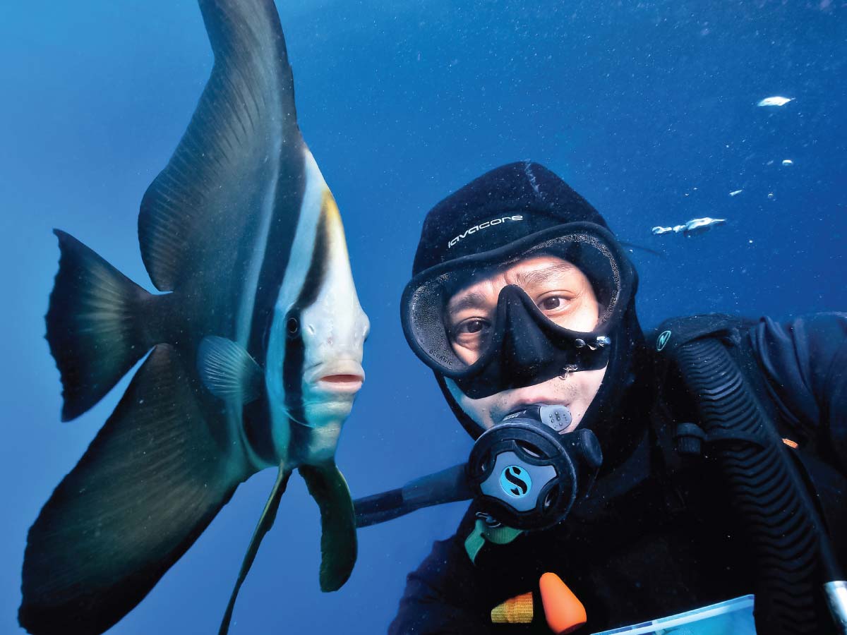 great barrier reef scuba diving