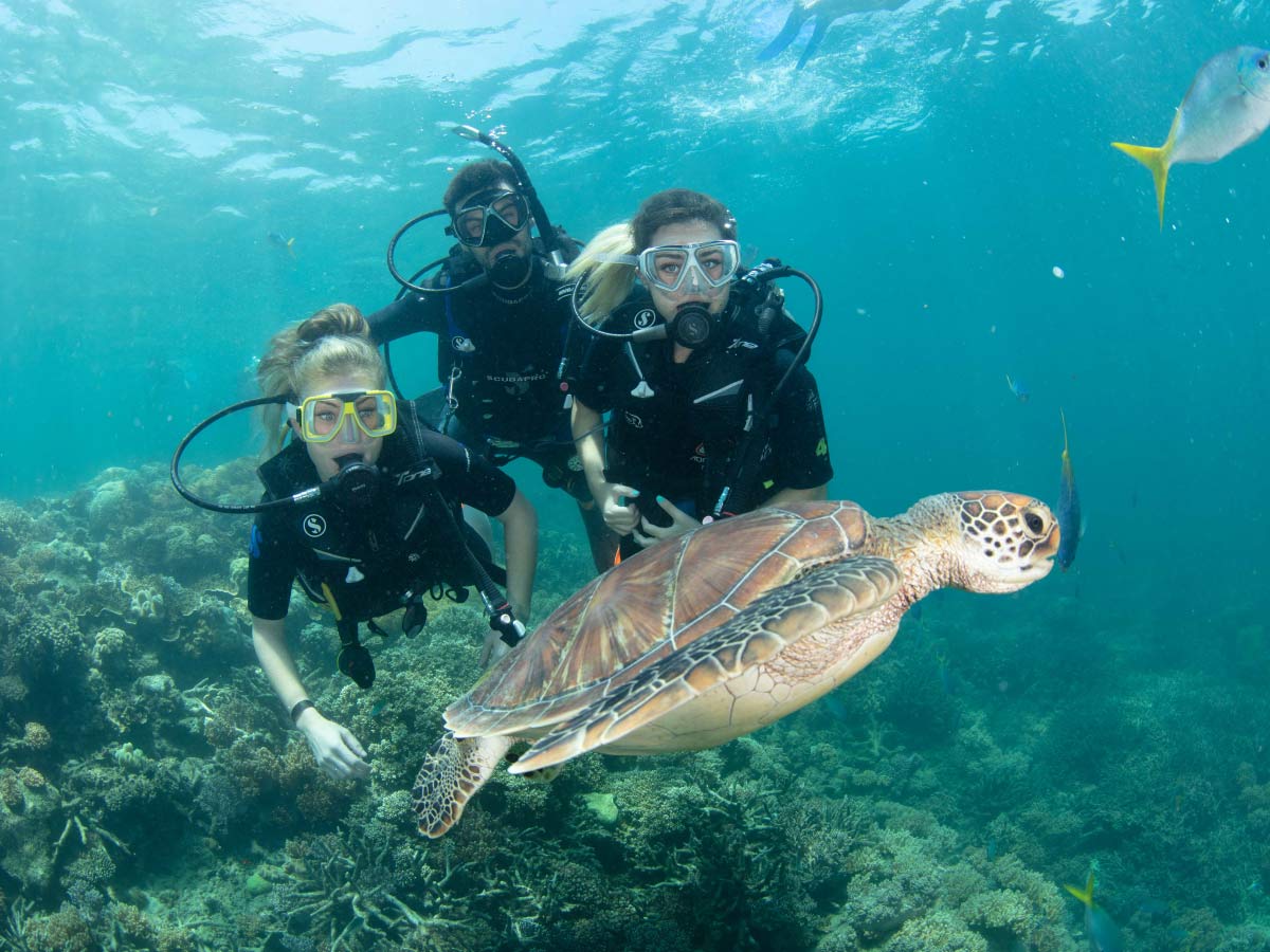 Scuba introduction dive